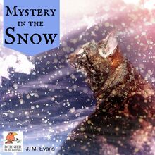 Mystery in the Snow