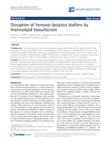 Disruption of Yarrowia lipolytica biofilms by rhamnolipid biosurfactant