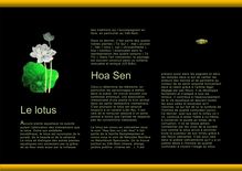 Le lotus Hoa Sen