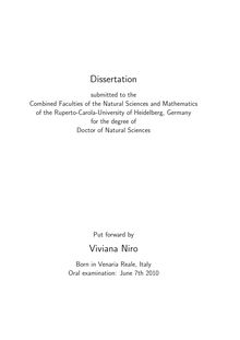 Indirect detection of dark matter with neutrinos [Elektronische Ressource] / put forward by Viviana Niro