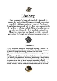 Léonberg