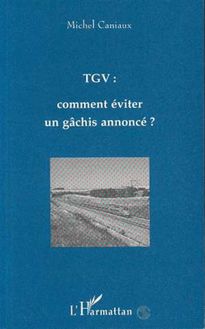 TGV : Comment éviter un gâchis annoncé ?