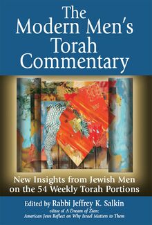 The Modern Men s Torah Commentary
