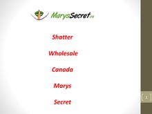  Cheap Weed Canada Bulk- Marys Secret