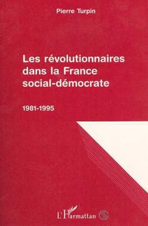 Les révolutionnaires dans la France social-démocrate 1981-1995