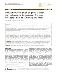 Simultaneous utilization of glucose, xylose and arabinose in the presence of acetate by a consortium of Escherichia coli strains