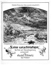 Partition Piano et flûte Score, Sturmwind, Op.51, Tillmetz, Rudolf
