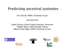 Predicting ancestral syntenies Eric Tannier INRIA University of Lyon