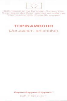Topinambour (Jerusalem artichoke)