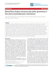 Blood flow shapes intravascular pillar geometry in the chick chorioallantoic membrane