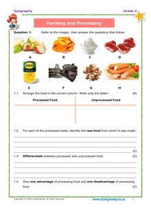 Grade 4 Geography Test: Farming And Processing