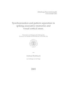 Synchronization and pattern separation in spiking associative memories and visual cortical areas [Elektronische Ressource] / Andreas Knoblauch