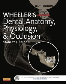 Wheeler s Dental Anatomy, Physiology and Occlusion - E-Book