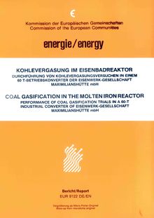 Coal gasification in the molten iron reactor