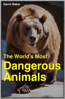 The World s Most Dangerous Animals