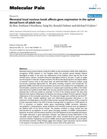 Neonatal local noxious insult affects gene expression in the spinal dorsal horn of adult rats