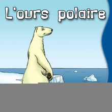 L ours polaire