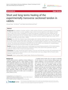 Short and long terms healing of the experimentally transverse sectioned tendon in rabbits