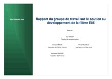 Rapport du groupe de travail sur le soutien au développement de la filière E85
