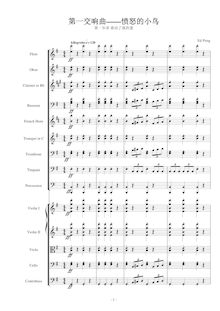 Partition , Allegretto, Symphony No.1 en E minor Angry Birds, 交响曲_第
