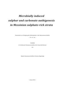 Microbially induced sulphur and carbonate authigenesis in Messinian sulphate-rich strata [Elektronische Ressource] / von Simone Ziegenbalg