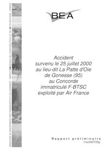 Accident survenu le 25 juillet 2000 au lieu-dit La Patte d Oie de Gonesse (95) au Concorde immatriculé F-BTSC exploité par Air France : rapport préliminaire