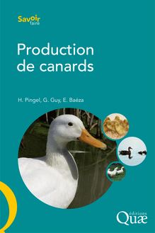 Production de canards