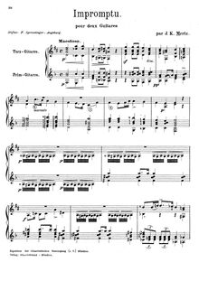 Partition complète, Impromptu, E minor, Mertz, Johann Kaspar