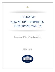 BIG DATA: SEIZING OPPORTUNITIES, PRESERVING VALUES 