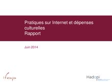 Rapport Hadopi Pratiques sur Internet et dépenses culturelles - Juin 2014