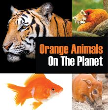 Orange Animals On The Planet
