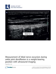 Measurement of tibial nerve excursion during ankle joint dorsiflexion in a weight-bearing position with ultrasound imaging