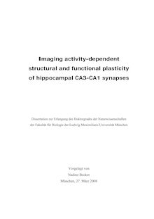 Imaging activity-dependent structural and functional plasticity of hippocampal CA3-CA1 synapses [Elektronische Ressource] / vorgelegt von Nadine Becker