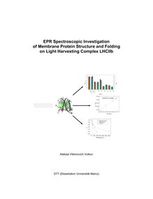 EPR spectroscopic investigation of membrane protein structure and folding on light harvesting complex LHCIIb [Elektronische Ressource] / Aleksei Viktorovich Volkov