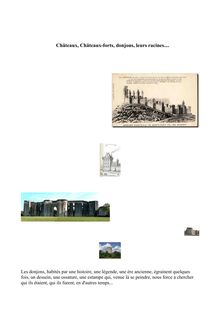 Châteaux, Châteaux-forts, donjons, leurs racines