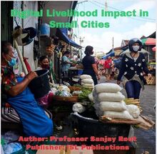Digital Livelihood Impact in Small Cities