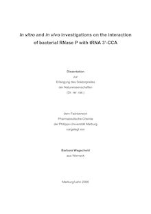 In vitro and in vivo investigations on the interaction of bacterial RNase P with tRNA 3 -CCA [Elektronische Ressource] / vorgelegt von Barbara Wegscheid