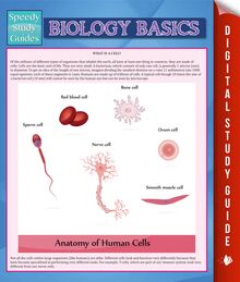 Biology Basics (Speedy Study Guide)