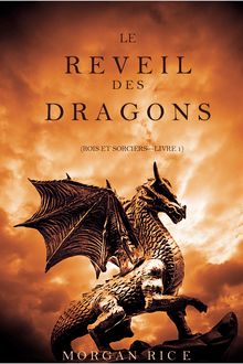 Tome 1 - Rois et Sorciers : Le Réveil des Dragons