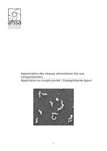 Appréciation des risques alimentaires liés aux campylobacters : Application au couple poulet - Campylobacter jejuni