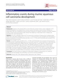Inflammatory events during murine squamous cell carcinoma development