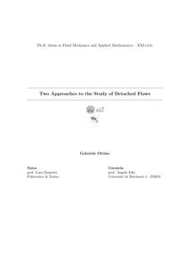 Two approaches to the study of detached flows
