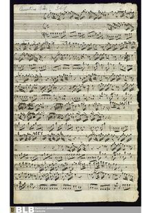 Partition complète et parties, Concertino pour 2 flûtes en G major