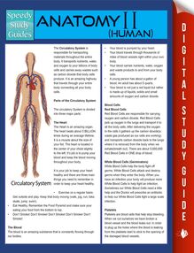 Anatomy II (Human) (Speedy Study Guides)