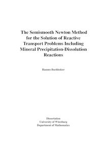 The Semismooth Newton Method for the Solution of Reactive Transport Problems Including Mineral Precipitation-Dissolution Reactions [Elektronische Ressource] / Hannes Buchholzer. Betreuer: Christian Kanzow