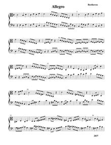 Partition pour ténor et basse violes de gambe - partition complète, Duo pour 2 flûtes