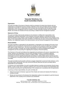 VSI Audit Committee Charter
