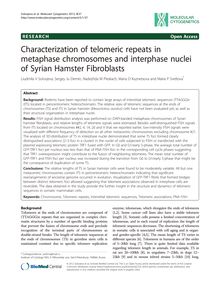 Characterization of telomeric repeats in metaphase chromosomes and interphase nuclei of Syrian Hamster Fibroblasts