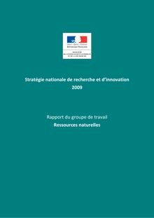 Stratégie nationale de recherche et d innovation 2009 Rapport du ...