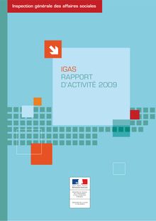 IGAS - Rapport d'activité 2009